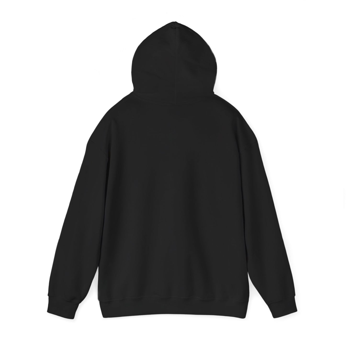 I Didn't Wake Up Hoodie | meme-core, cringe-core brainrot humor