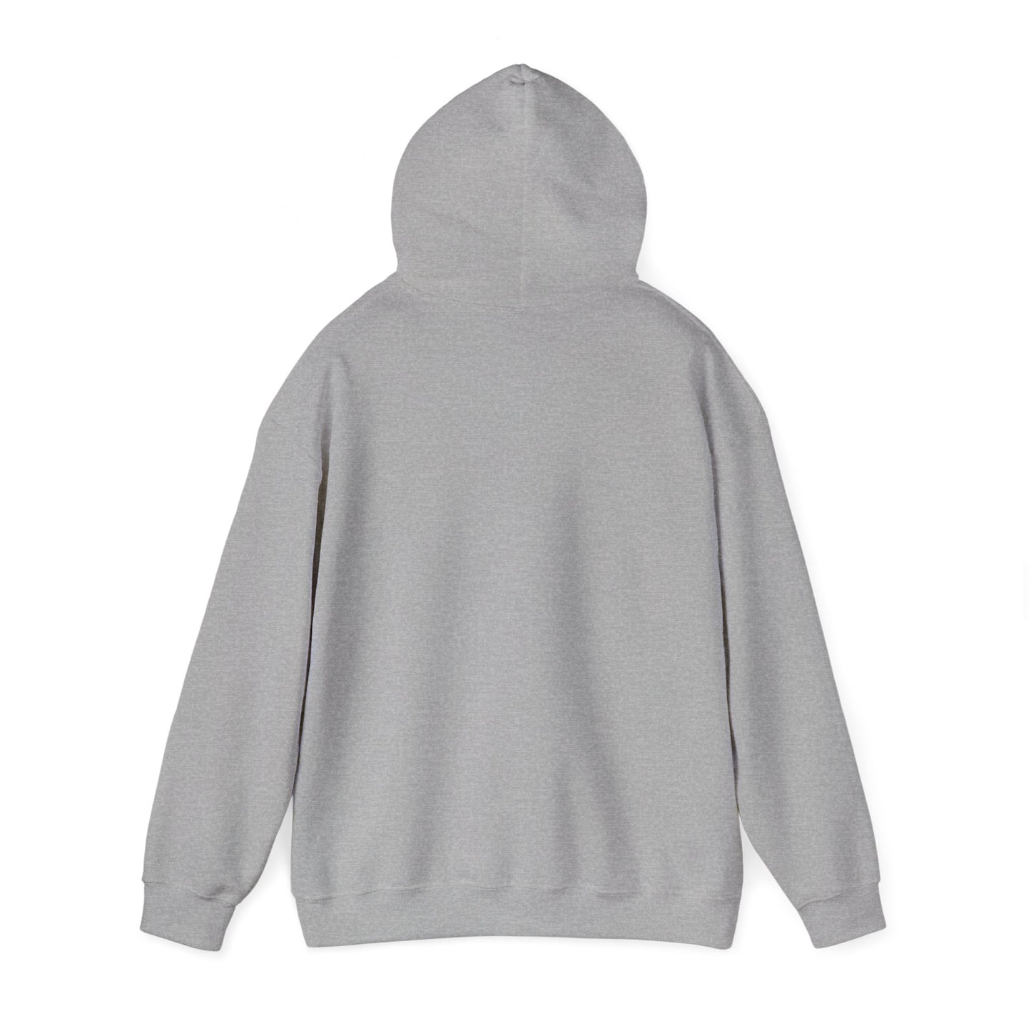 I Didn't Wake Up Hoodie | meme-core, cringe-core brainrot humor